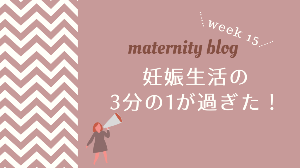 妊娠15週目妊娠生活の3分の1が過ぎた！